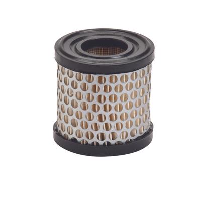 30-132 AIR FILTER BRIGGS