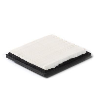 30-443 AIR FILTER TECUMSEH