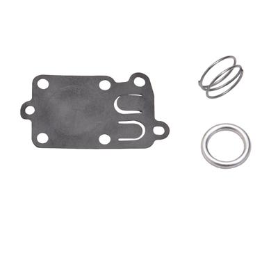 49-037 DIAPH KIT - BRIGGS